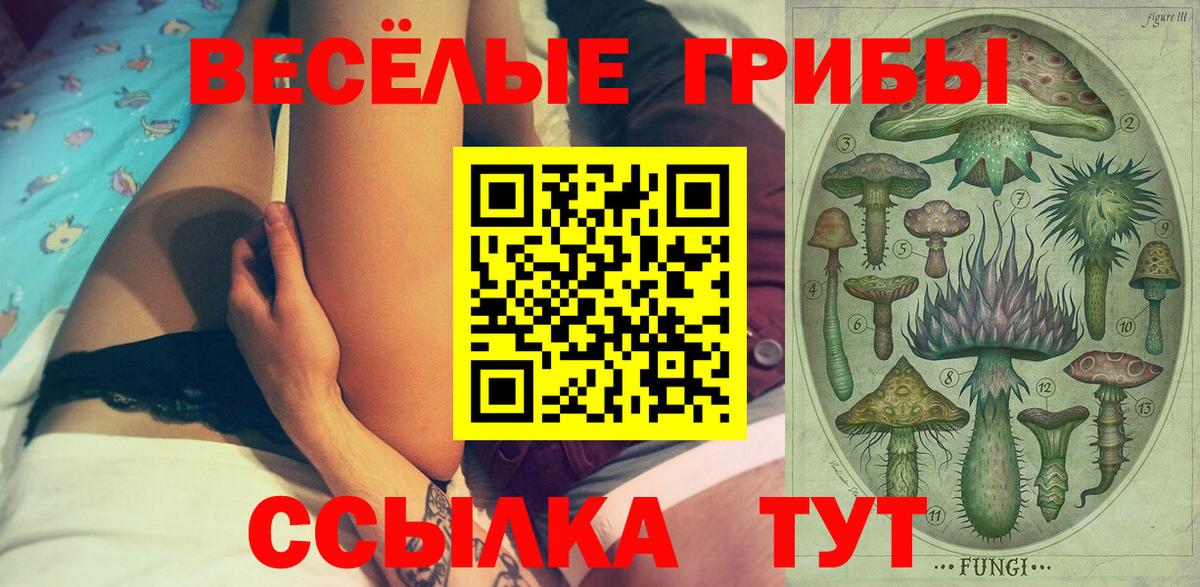 Крымск  Галлюциногенные грибы Psilocybe  Вход с VPN 