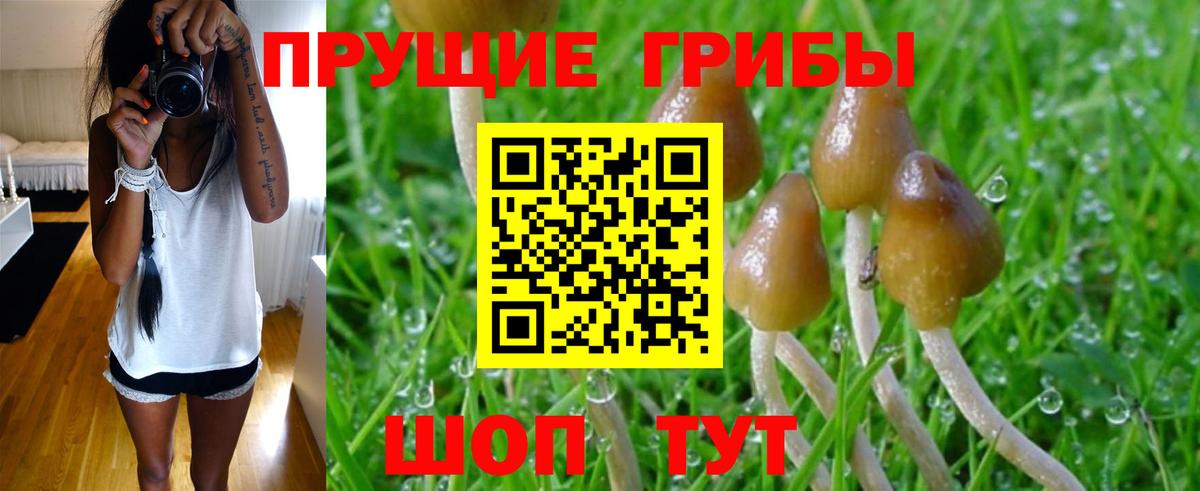 Псилоцибиновые грибы мухоморы Крымск