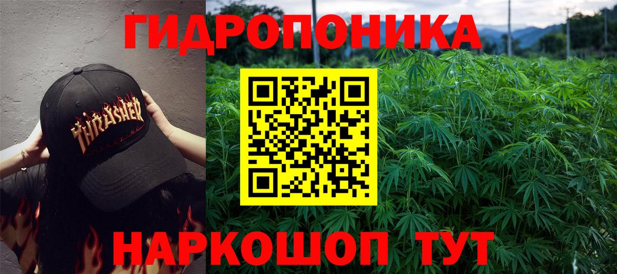 Шишки марихуана Amnesia Крымск